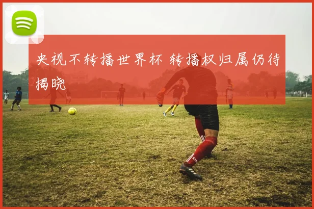 央视不转播世界杯 转播权归属仍待揭晓